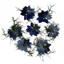 Kwiaty suszone do zatopienia w żywicy, wosku niebieskie