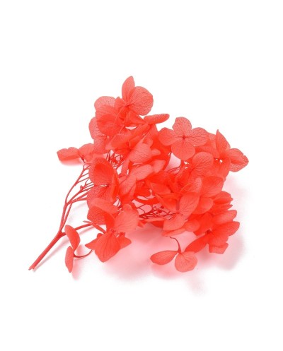 Kwiaty suszone do zatopienia w żywicy, mix kolorów 20gram.