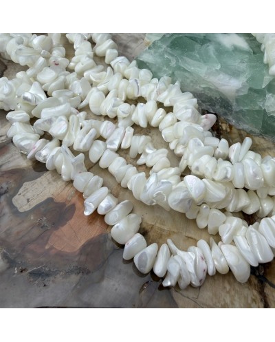 Naturalna muszla sieczka 5~15x5~8mm sznurek ok 80 cm
