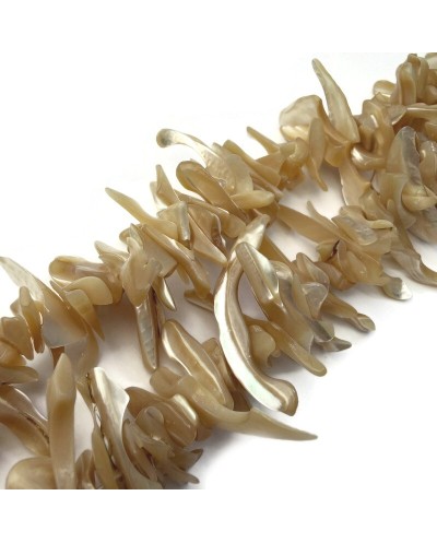 Naturalna muszla sieczka podłużna 2~11x22~25x5~8mm sznurek