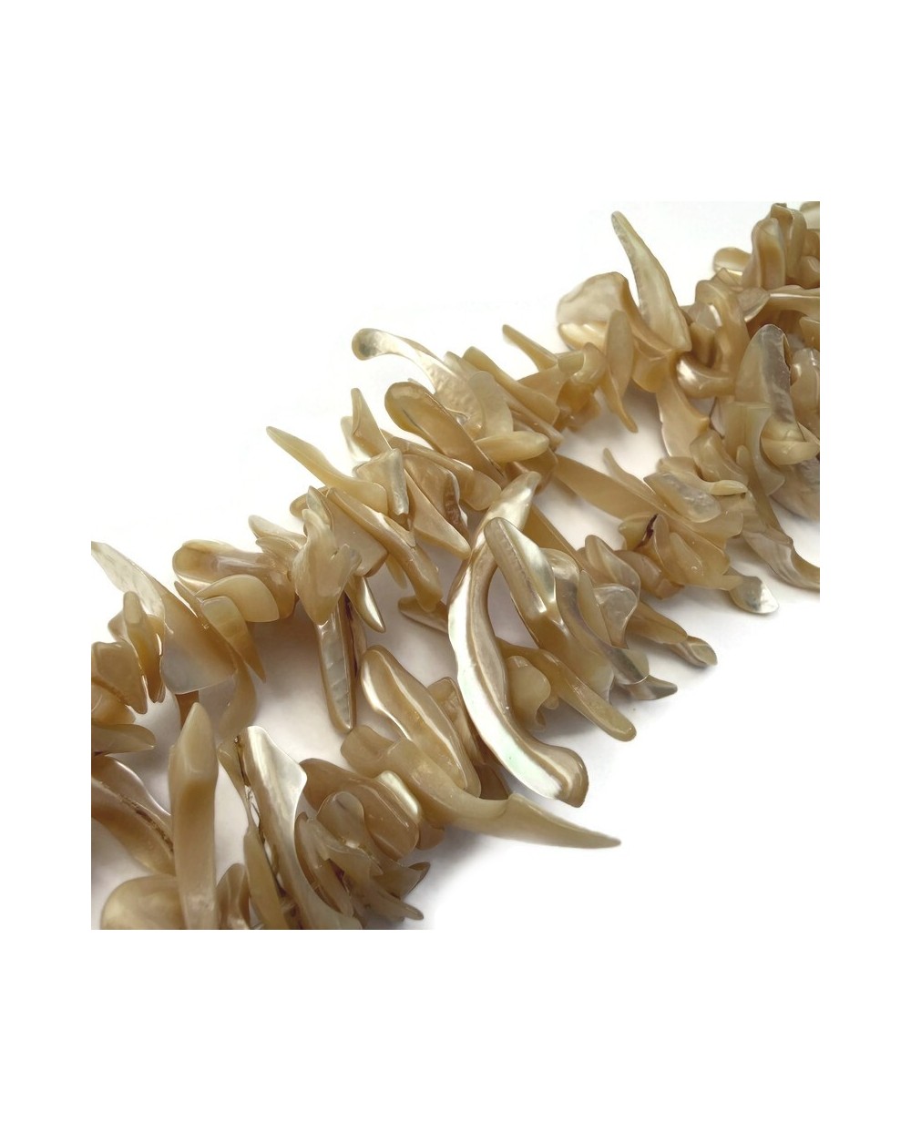 Naturalna muszla sieczka podłużna 2~11x22~25x5~8mm sznurek
