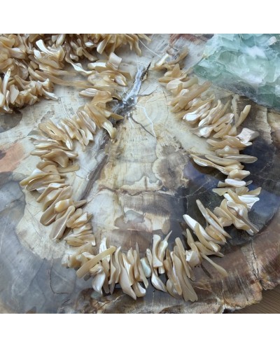 Naturalna muszla sieczka podłużna 2~11x22~25x5~8mm sznurek