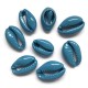Muszelki kauri naturalne - 15~17x10~11x5~6mm - kolor niebieski