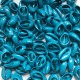 Muszelki kauri naturalne - 15~17x10~11x5~6mm - kolor niebieski