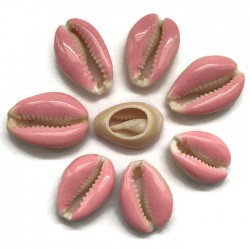 Muszelki kauri naturalne - 20~26x13~18x5~7mm - różowy
