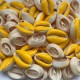 Muszelki kauri naturalne - 20~26x13~18x5~7mm - żółty