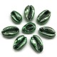 Muszelki kauri naturalne platerowana-13x20x6mm - jasno zielony