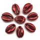 Muszelki kauri naturalne platerowana-13x20x6mm - czerwona