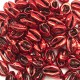 Muszelki kauri naturalne platerowana-13x20x6mm - czerwona